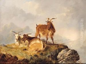 Goats Resting On A Hilltop by George W. Horlor