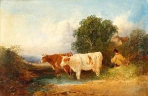 Cattle Watering With Cowherd