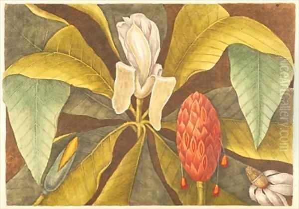 The Magnolia - view 1