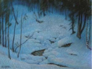 Deep Woods After Snowfall Deep Woods After Snowfall