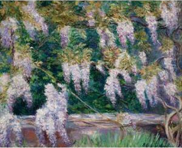 Glycines A Giverny - view 1