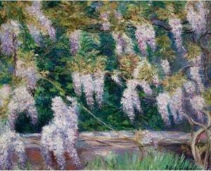 Glycines A Giverny