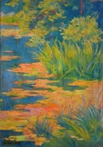 Etang Avec Roseaux - view 1