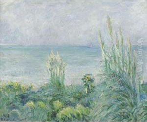 Vue Du Jardin De Belebat