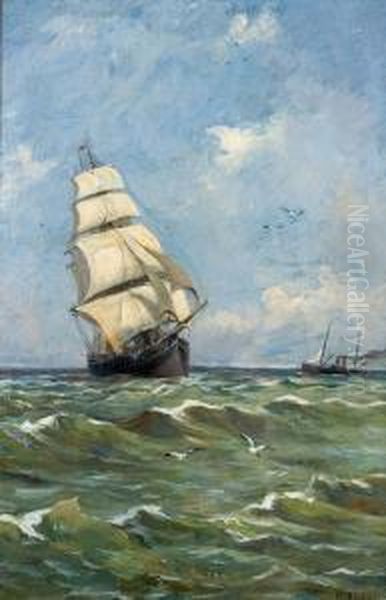 Toutes Voiles Dehors - view 1