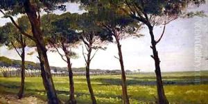 A Line of Old Pines by Giovanni Costa