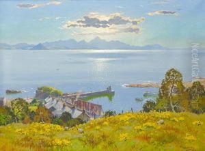 Afternoon Sunshine Firth Of Clyde by Robert Houston