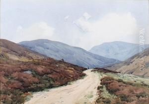 Glen Chalmadale, Isle Of Arran by Robert Houston