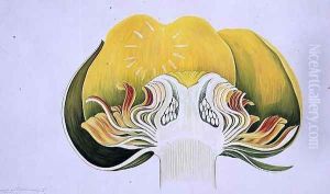 Drawing 8-1 Nuphar advena (Spatterdock) 1904 by Arthur Henry Church