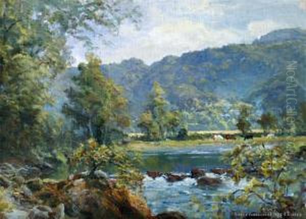 Cattle Wading From A Stream - view 1