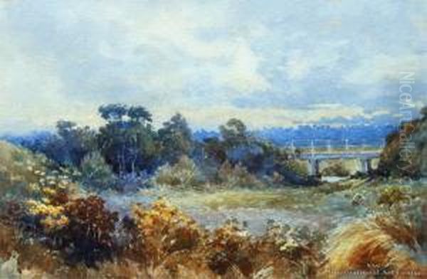 West Coast - view 1