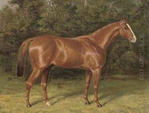 Blair Athol Blair Athol