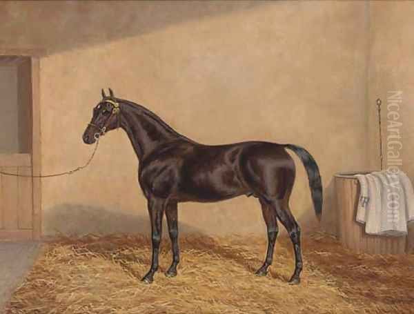 A bay racehorse in a stable - view 1