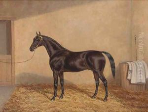 A bay racehorse in a stable