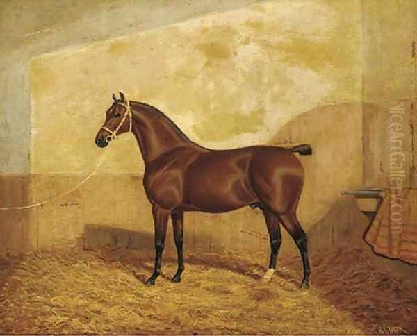 A tethered brown hunter in a stable - view 1