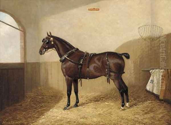 Goodboy, a harnessed liver chestnut in a stable - view 1