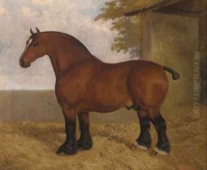 The shire stallion