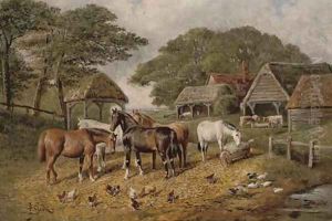 A sunny day in the farmyard