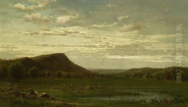 Landscape - view 1