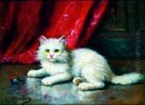 Le Chaton Et Sa Balle