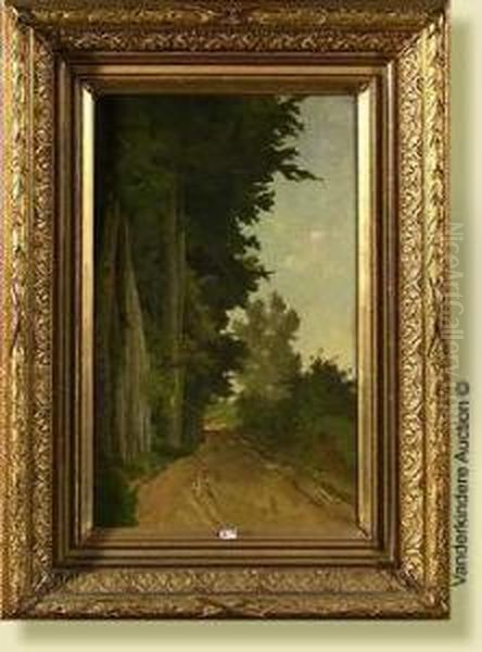 Chemin En Lisiere De Foret - view 1