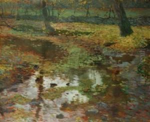 A Motif From Okor by Antonin Hudecek