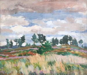 Landscape Before A Storm
