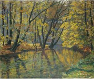 The Bela Stream In Autumn by Antonin Hudecek