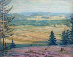 Heather At The Edge Of The Forest by Antonin Hudecek