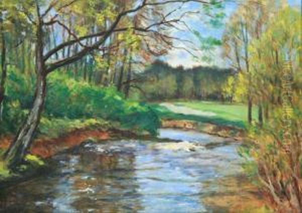 A Brook - view 1