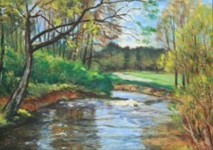 A Brook by Antonin Hudecek