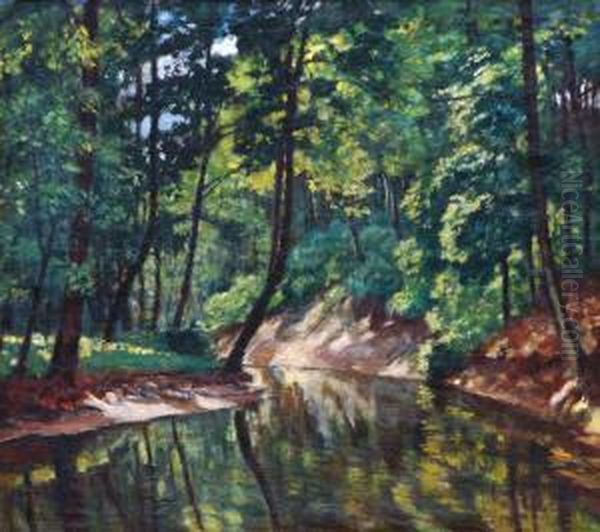 Stream Incestachovice - view 1
