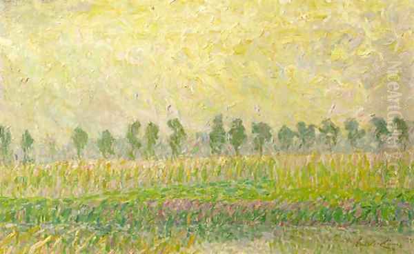 Sunlit landscape - view 1