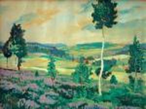Letni Krajina by Antonin Hudecek