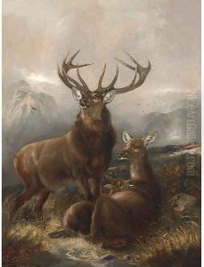A stag with hinds by Robert Cleminson