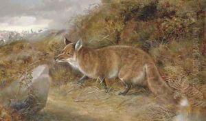 Gambols Disturbed by Robert Cleminson
