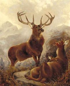 A stag with doe in a highland landscape by Robert Cleminson