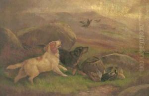 Gundogs on a grouse moor by Robert Cleminson