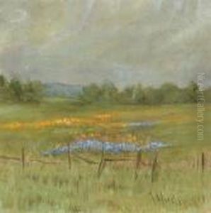 Poppy Scene In Potter Valley