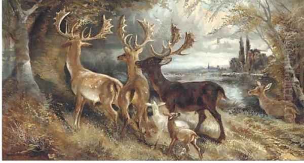 Stag's and hindes by a tree - view 1