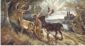 Stag's and hindes by a tree by Robert Cleminson