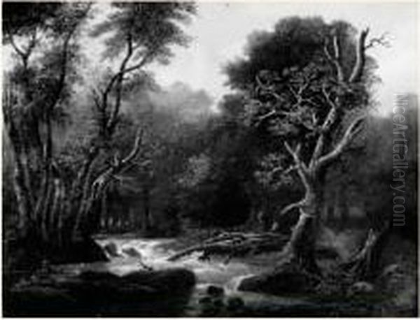 Paysage De Riviere Dans Une Foret - view 1
