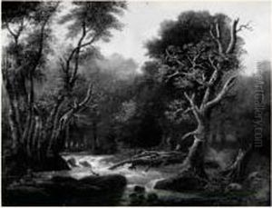 Paysage De Riviere Dans Une Foret Paysage De Riviere Dans Une Foret