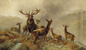 A stag with hinds in a Highland landscape by Robert Cleminson