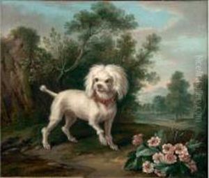 Chien Dans Un Paysage