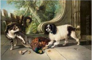 Chien Et Chat Devant Une Perdrix