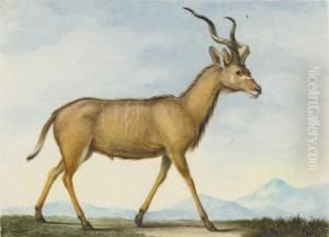 Une Antilope Vue De Profil Vers La Droite Dans Un Paysage Montagneux