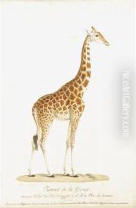 The Royal Giraffe by Nicolas Huet