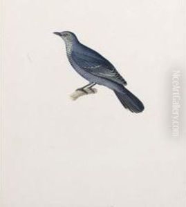 A Cuckoo