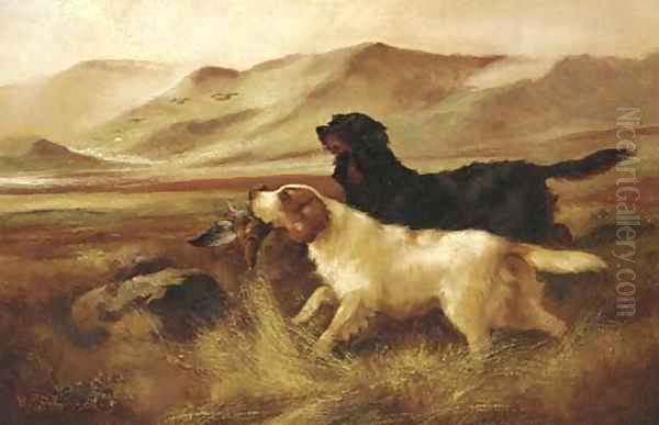 Setters retrieving partridges - view 1